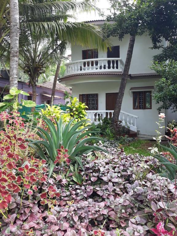 Agnelo'S Holiday Homes Candolim Εξωτερικό φωτογραφία